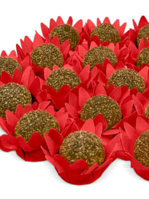 Flor Maya
