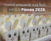 dicas de como se preparar para a páscoa 2026